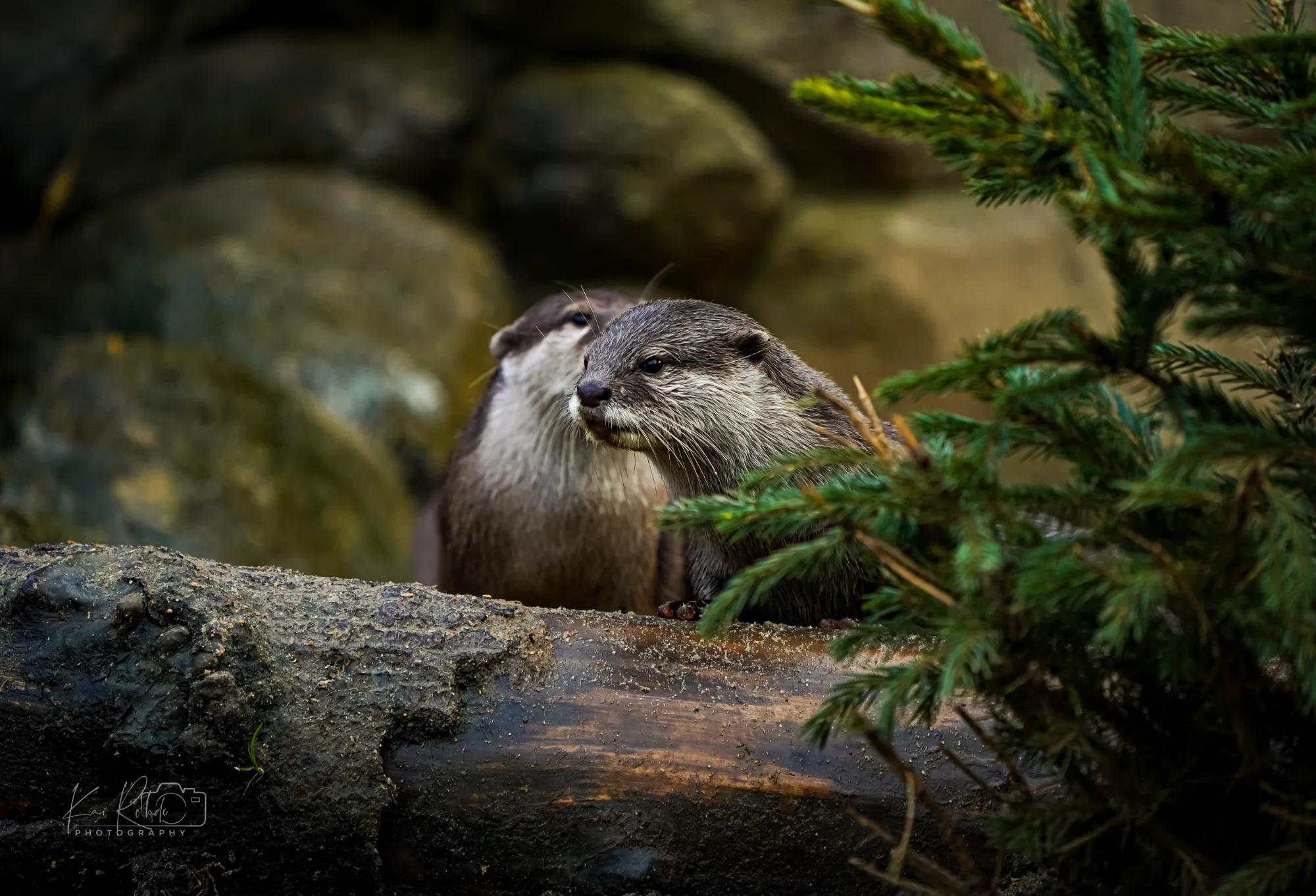 A7C02439   B1© 