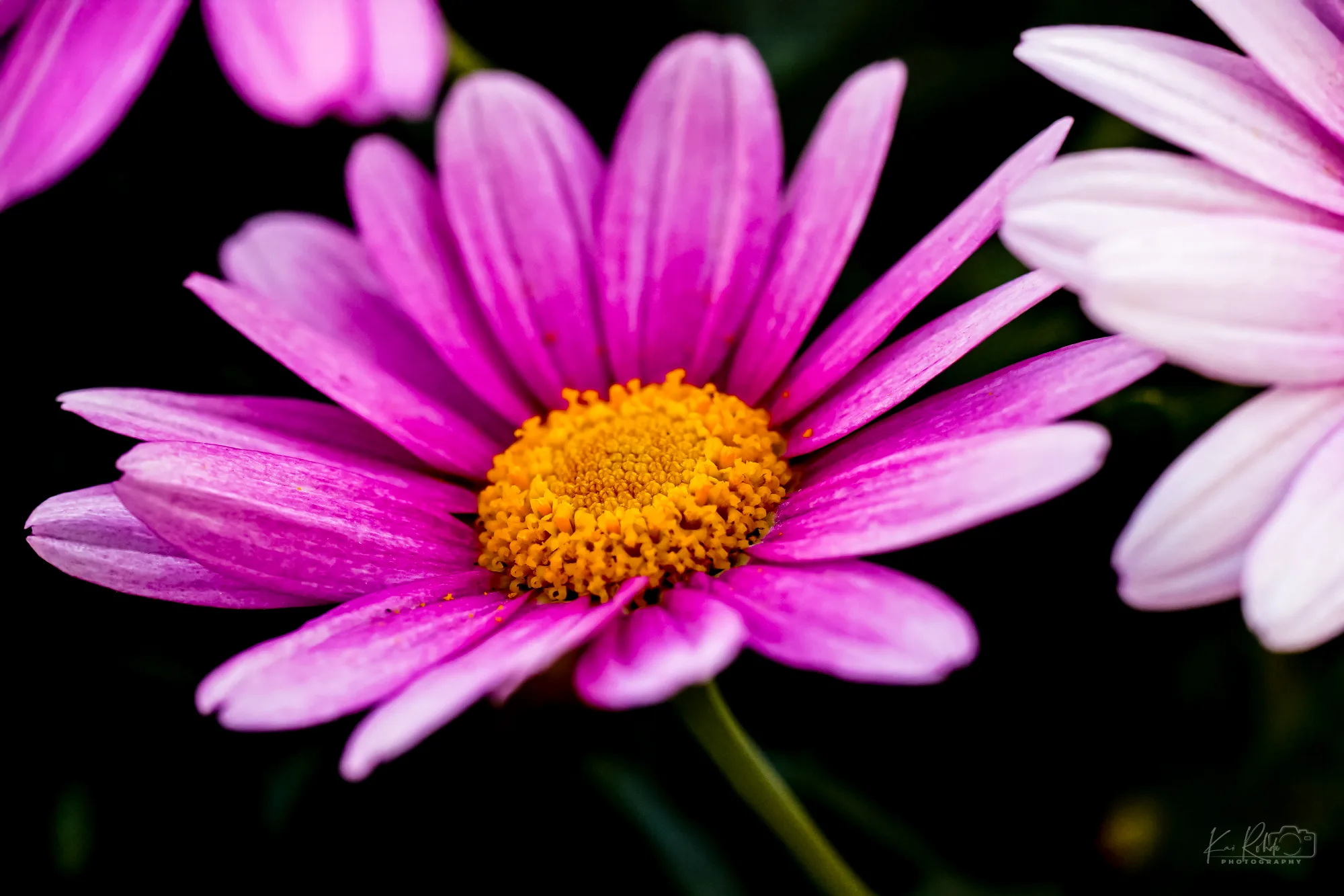 A7C03858   B1©