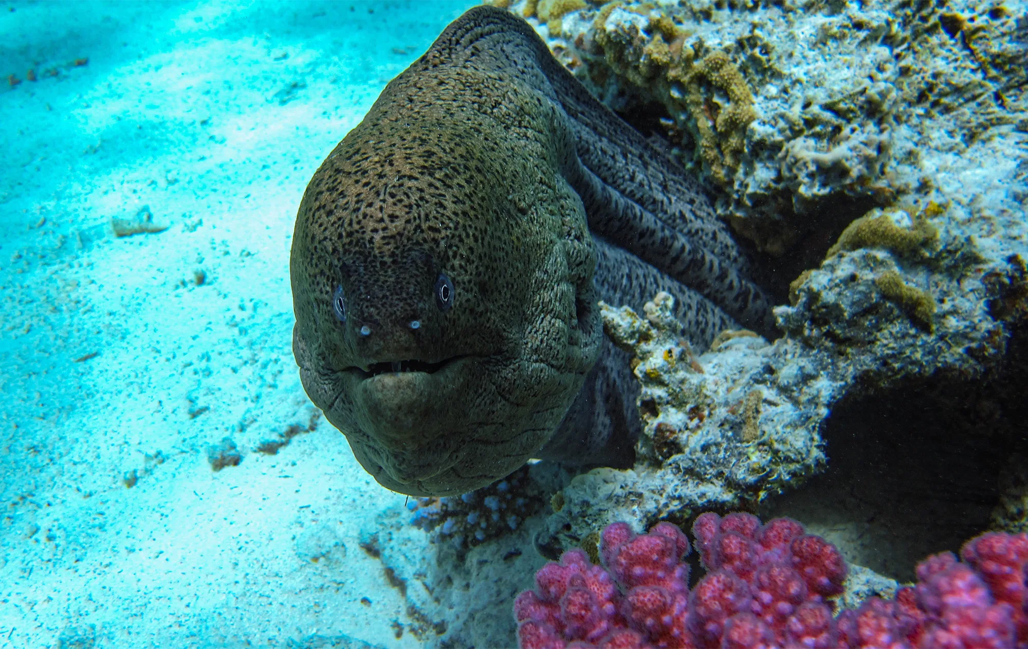 Underwater
